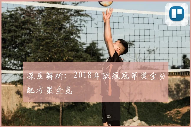 深度解析：2018年欧冠冠军奖金分配方案全览